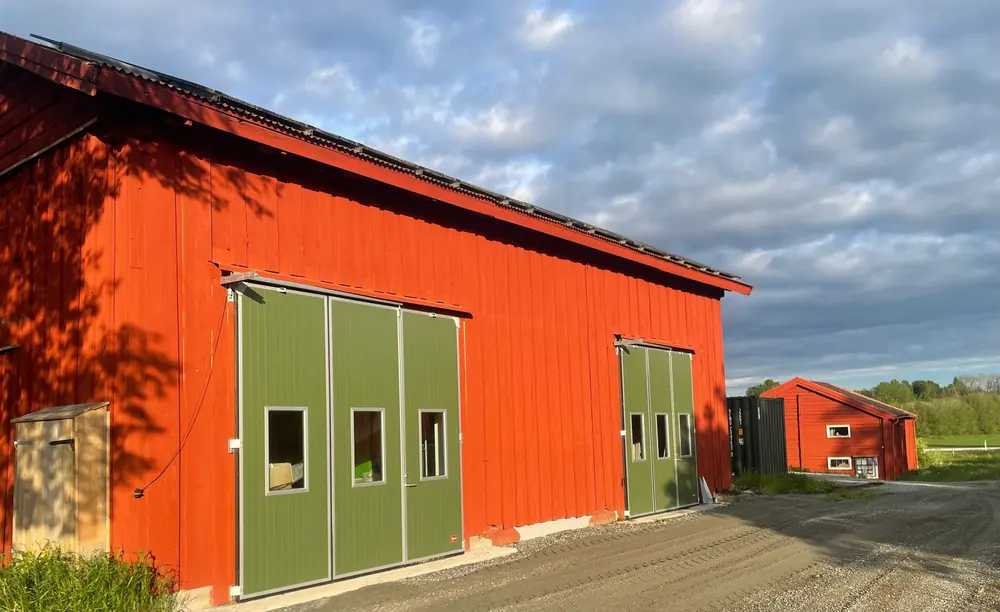 Greewave project building